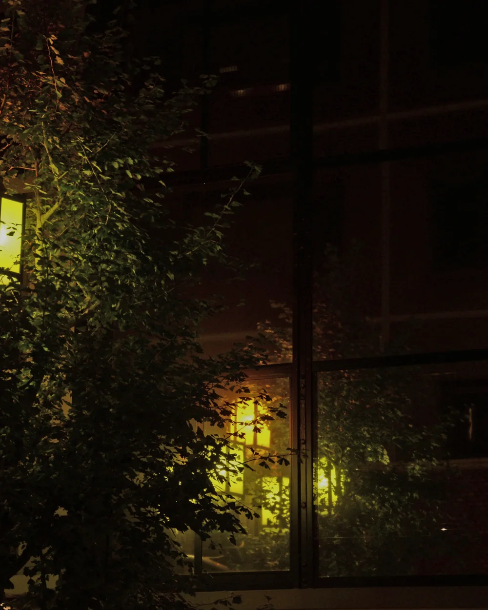 Warm lanterns reflected in the dark glass of a Shinjuku restaurant.